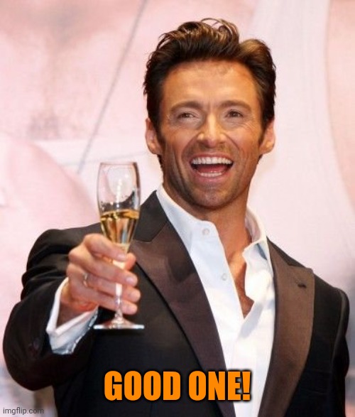 Hugh Jackman Cheers | GOOD ONE! | image tagged in hugh jackman cheers | made w/ Imgflip meme maker