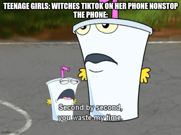 Second by second, you waste my time | TEENAGE GIRLS: WITCHES TIKTOK ON HER PHONE NONSTOP
THE PHONE: | image tagged in second by second you waste my time | made w/ Imgflip meme maker