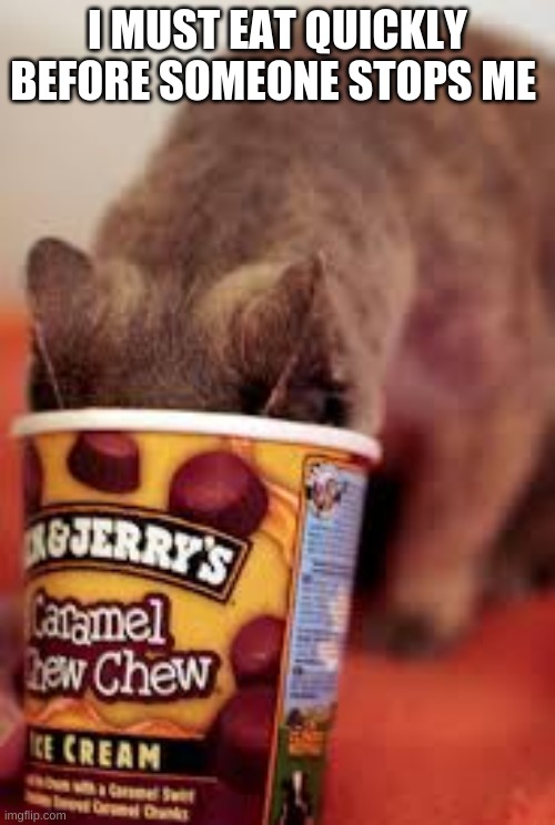 cats cats eating ice cream Memes & GIFs - Imgflip