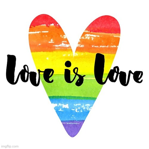 LOVE IS LOVE | image tagged in love is love | made w/ Imgflip meme maker