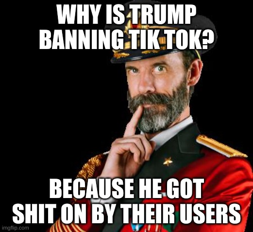 A salty little bitch is mad | WHY IS TRUMP BANNING TIK TOK? BECAUSE HE GOT SHIT ON BY THEIR USERS | image tagged in captain obvious | made w/ Imgflip meme maker