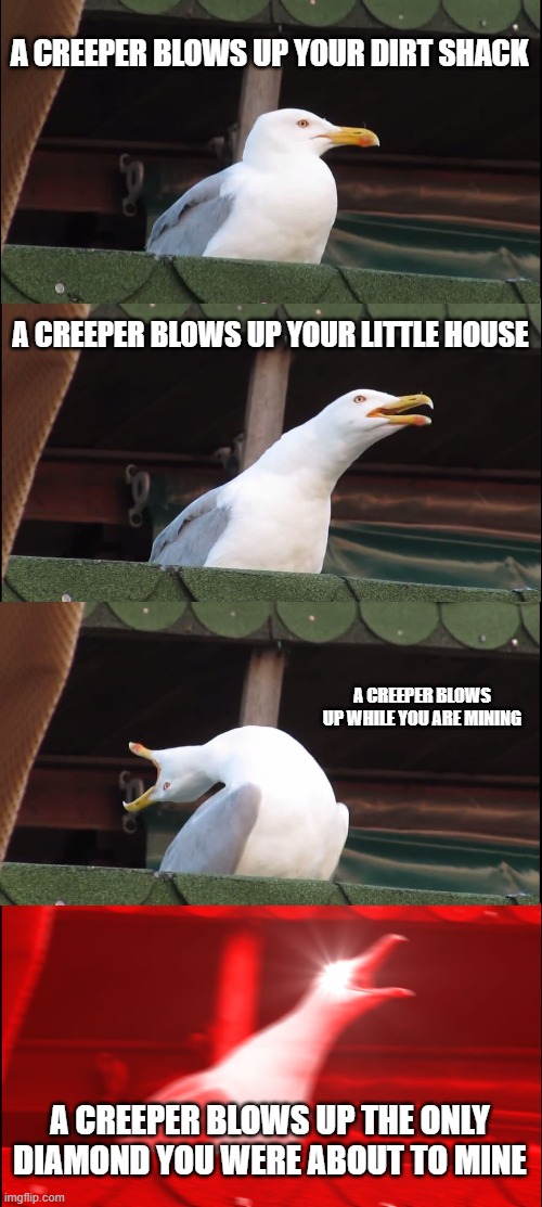 That can happen.. | A CREEPER BLOWS UP YOUR DIRT SHACK; A CREEPER BLOWS UP YOUR LITTLE HOUSE; A CREEPER BLOWS UP WHILE YOU ARE MINING; A CREEPER BLOWS UP THE ONLY DIAMOND YOU WERE ABOUT TO MINE | image tagged in memes,inhaling seagull | made w/ Imgflip meme maker