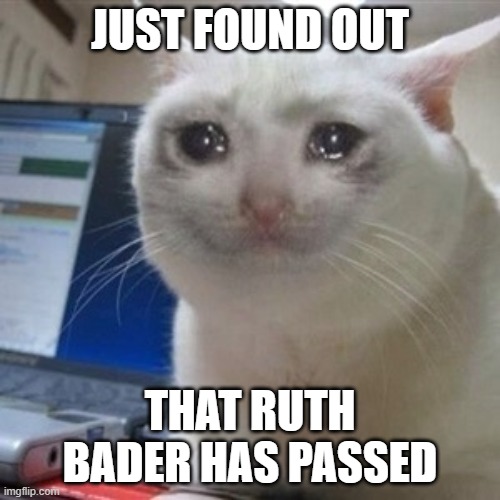 RIP to an absolute legend | JUST FOUND OUT; THAT RUTH BADER HAS PASSED | image tagged in crying cat | made w/ Imgflip meme maker