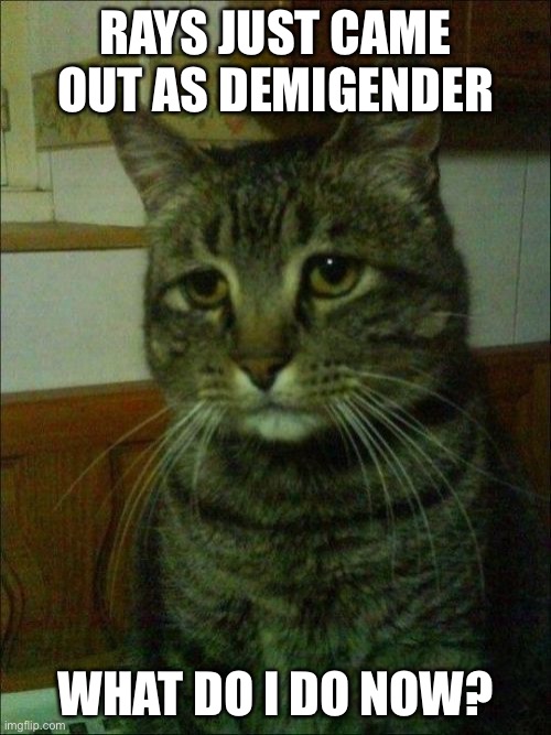 There’s no problem with it except she’s my ship | RAYS JUST CAME OUT AS DEMIGENDER; WHAT DO I DO NOW? | image tagged in memes,depressed cat | made w/ Imgflip meme maker