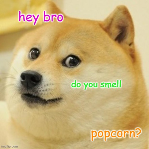 after u fart in a room | hey bro; do you smell; popcorn? | image tagged in memes,doge | made w/ Imgflip meme maker