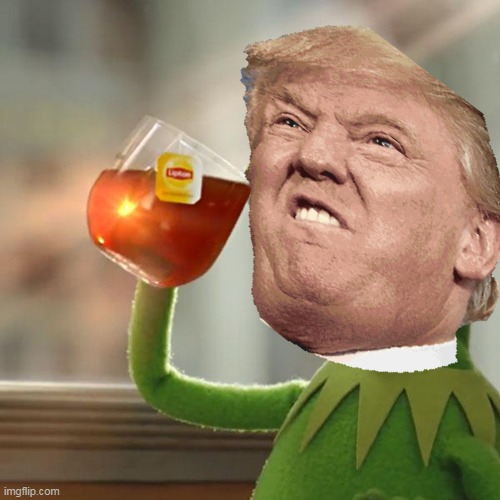 boi trump drinkin his tea | image tagged in kermit sipping tea | made w/ Imgflip meme maker