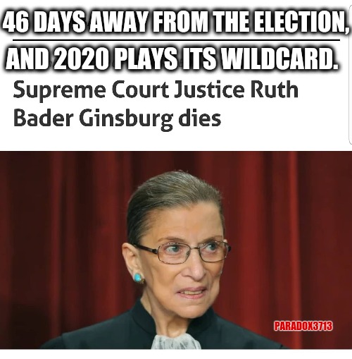 If you had any doubts on if the Democrats were going to cheat in the elections, 2020 just insured it will happen. | 46 DAYS AWAY FROM THE ELECTION, AND 2020 PLAYS ITS WILDCARD. PARADOX3713 | image tagged in memes,politics,ruth bader ginsburg,joe biden,donald trump,election 2020 | made w/ Imgflip meme maker