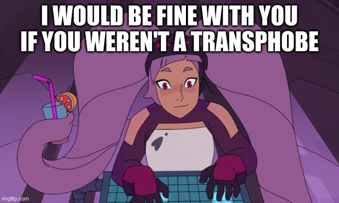 entrapta computer | I WOULD BE FINE WITH YOU IF YOU WEREN'T A TRANSPHOBE | image tagged in entrapta computer | made w/ Imgflip meme maker