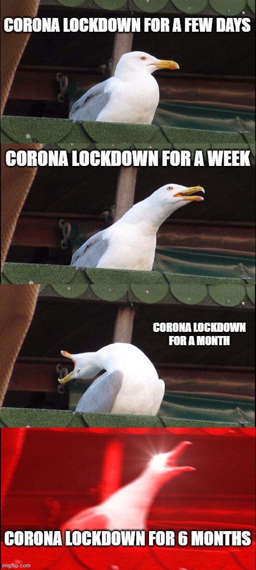 Inhaling Seagull Meme | CORONA LOCKDOWN FOR A FEW DAYS; CORONA LOCKDOWN FOR A WEEK; CORONA LOCKDOWN FOR A MONTH; CORONA LOCKDOWN FOR 6 MONTHS | image tagged in memes,inhaling seagull | made w/ Imgflip meme maker