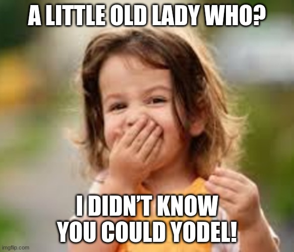 Knock, Knock. Who's There? A Little Old Lady... | A LITTLE OLD LADY WHO? I DIDN’T KNOW YOU COULD YODEL! | image tagged in knock knock who's there | made w/ Imgflip meme maker