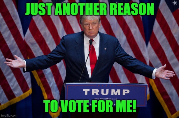 Donald Trump | JUST ANOTHER REASON TO VOTE FOR ME! | image tagged in donald trump | made w/ Imgflip meme maker