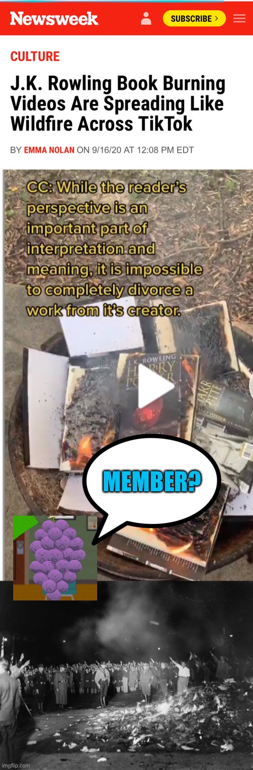 Sadly, they’re burning the only books they ever read | MEMBER? | image tagged in books,democrats,dnc | made w/ Imgflip meme maker