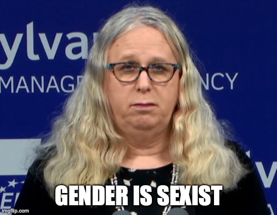 GENDER IS SEXIST | image tagged in gender | made w/ Imgflip meme maker
