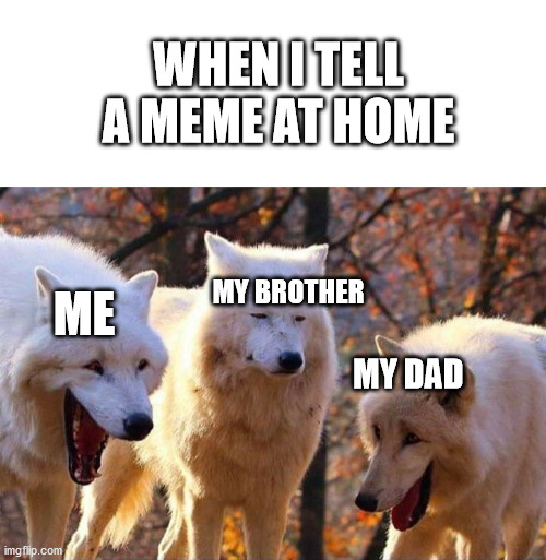 for me at least | WHEN I TELL A MEME AT HOME; MY BROTHER; ME; MY DAD | image tagged in laughing wolf | made w/ Imgflip meme maker