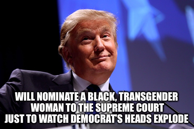 RIP RBG | WILL NOMINATE A BLACK, TRANSGENDER 
WOMAN TO THE SUPREME COURT JUST TO WATCH DEMOCRAT’S HEADS EXPLODE | image tagged in donald trump no2,ruth bader ginsburg,supreme court | made w/ Imgflip meme maker