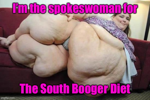 fat girl | I’m the spokeswoman for The South Booger Diet | image tagged in fat girl | made w/ Imgflip meme maker