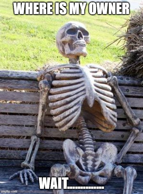 Waiting Skeleton Meme | WHERE IS MY OWNER; WAIT.............. | image tagged in memes,waiting skeleton | made w/ Imgflip meme maker