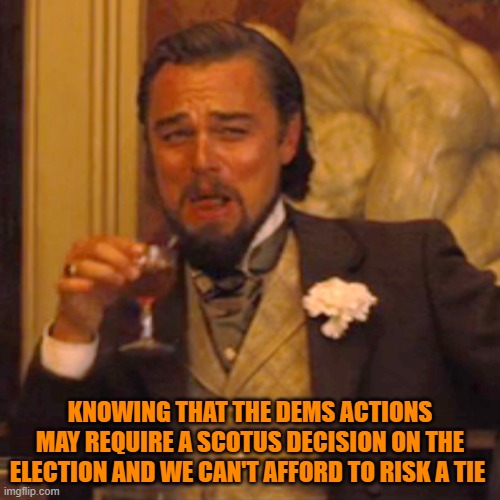 Laughing Leo Meme | KNOWING THAT THE DEMS ACTIONS MAY REQUIRE A SCOTUS DECISION ON THE ELECTION AND WE CAN'T AFFORD TO RISK A TIE | image tagged in laughing leo | made w/ Imgflip meme maker