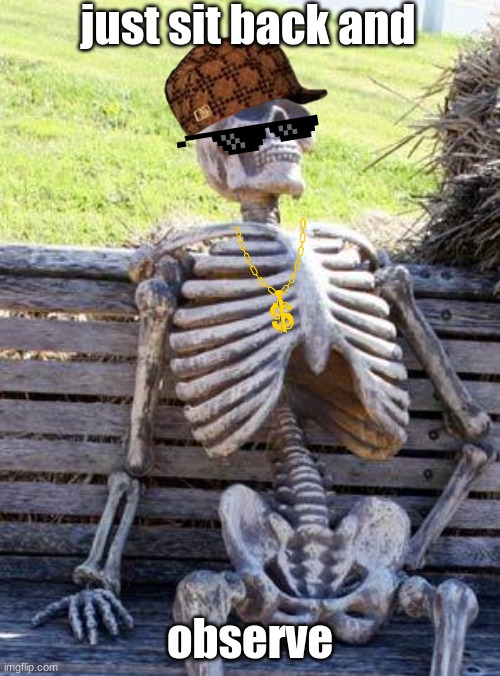 Waiting Skeleton Meme | just sit back and; observe | image tagged in memes,waiting skeleton | made w/ Imgflip meme maker