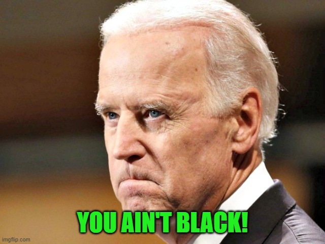 Biden P.O.ed | YOU AIN'T BLACK! | image tagged in biden p o ed | made w/ Imgflip meme maker