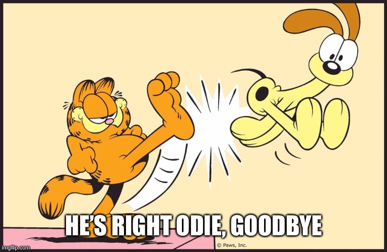 Garfield kicking odie | HE’S RIGHT ODIE, GOODBYE | image tagged in garfield kicking odie | made w/ Imgflip meme maker