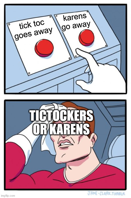 Two Buttons Meme | karens go away; tick toc goes away; TICTOCKERS OR KARENS | image tagged in memes,two buttons | made w/ Imgflip meme maker