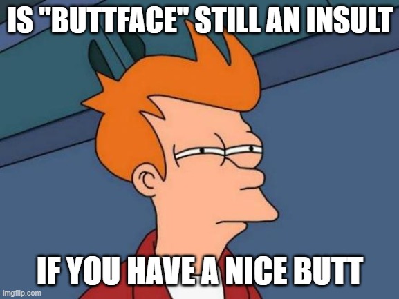 Futurama Fry | IS "BUTTFACE" STILL AN INSULT; IF YOU HAVE A NICE BUTT | image tagged in memes,futurama fry | made w/ Imgflip meme maker