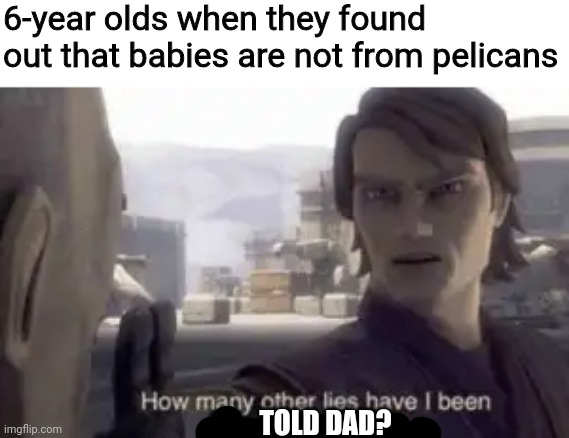 How many other lies have i been told by the council | 6-year olds when they found out that babies are not from pelicans; TOLD DAD? | image tagged in how many other lies have i been told by the council,kid,memes,baby,pelican,tales | made w/ Imgflip meme maker