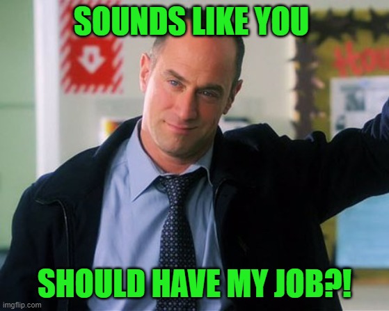 Law and order | SOUNDS LIKE YOU SHOULD HAVE MY JOB?! | image tagged in law and order | made w/ Imgflip meme maker