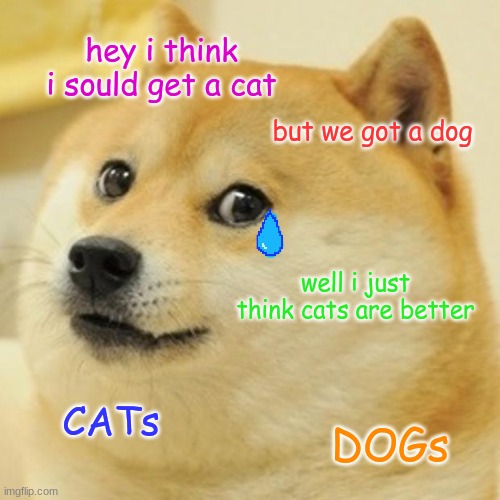 Doge | hey i think i sould get a cat; but we got a dog; well i just think cats are better; CATs; DOGs | image tagged in memes,doge | made w/ Imgflip meme maker