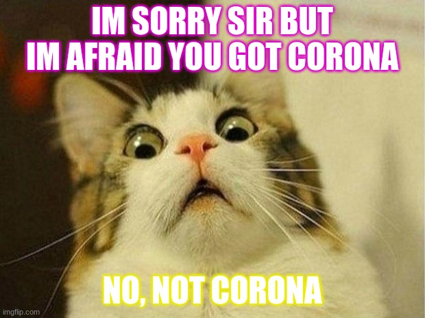 Scared Cat Meme | IM SORRY SIR BUT IM AFRAID YOU GOT CORONA; NO, NOT CORONA | image tagged in memes,scared cat | made w/ Imgflip meme maker