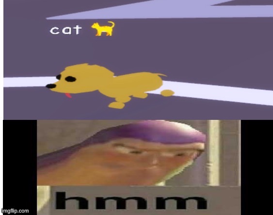Wait what | image tagged in dog,cat,hmm,wait what | made w/ Imgflip meme maker