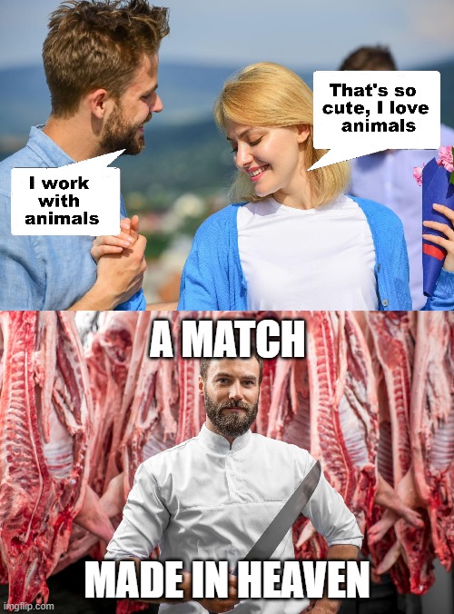 A Perfect Match | A MATCH; MADE IN HEAVEN | image tagged in funny memes | made w/ Imgflip meme maker