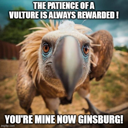 All things come to those who wait! | THE PATIENCE OF A VULTURE IS ALWAYS REWARDED ! YOU'RE MINE NOW GINSBURG! | image tagged in ginsburg | made w/ Imgflip meme maker