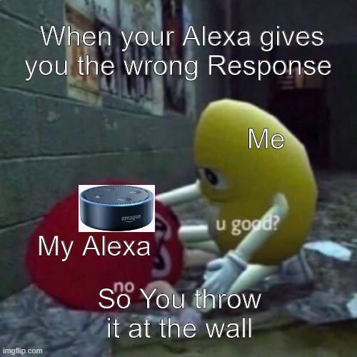 I swear to god Alexa | When your Alexa gives you the wrong Response; Me; My Alexa; So You throw it at the wall | image tagged in m ms u good no,alexa | made w/ Imgflip meme maker