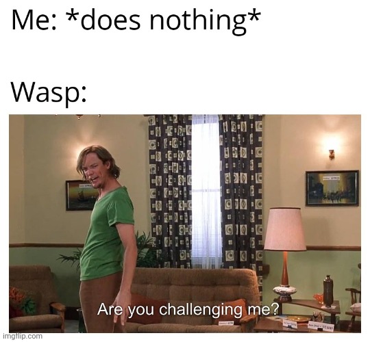 wasp | image tagged in gotanypain posting late | made w/ Imgflip meme maker