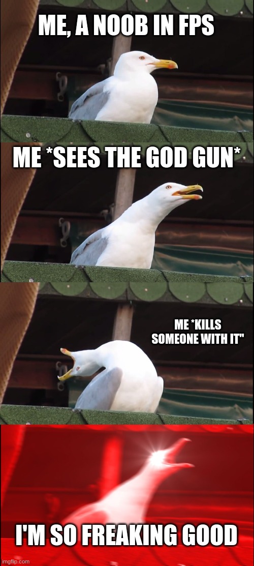 Inhaling Seagull Meme | ME, A NOOB IN FPS; ME *SEES THE GOD GUN*; ME *KILLS SOMEONE WITH IT"; I'M SO FREAKING GOOD | image tagged in memes,inhaling seagull | made w/ Imgflip meme maker