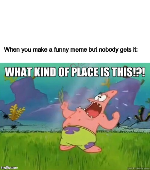 this relly be a bruh moment | When you make a funny meme but nobody gets it: | image tagged in what kind of place is this | made w/ Imgflip meme maker