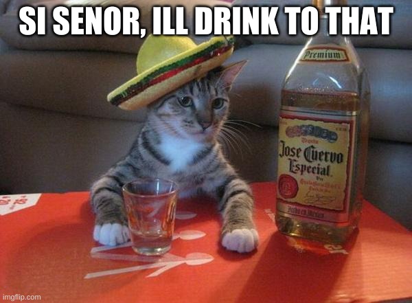 grab the taqilla | SI SENOR, ILL DRINK TO THAT | image tagged in alcohol cat | made w/ Imgflip meme maker