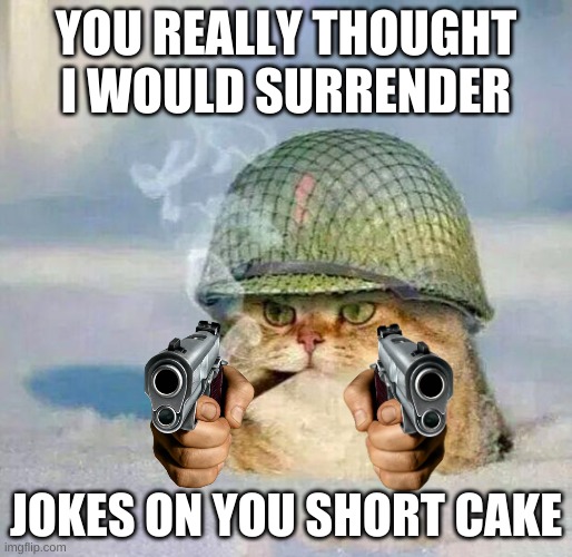 Bang goes kitty |  YOU REALLY THOUGHT I WOULD SURRENDER; JOKES ON YOU SHORT CAKE | image tagged in war cat | made w/ Imgflip meme maker