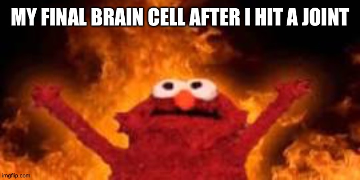 Burning Elmo | MY FINAL BRAIN CELL AFTER I HIT A JOINT | image tagged in funny,memes | made w/ Imgflip meme maker