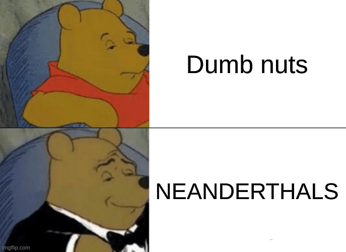 Squidward: What are those Neanderthals up to? |  Dumb nuts; NEANDERTHALS | image tagged in memes,tuxedo winnie the pooh,mocking spongebob,squidward window | made w/ Imgflip meme maker