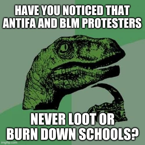 I'm just guessing, that's where their safe spaces are? | HAVE YOU NOTICED THAT ANTIFA AND BLM PROTESTERS; NEVER LOOT OR BURN DOWN SCHOOLS? | image tagged in memes,philosoraptor | made w/ Imgflip meme maker
