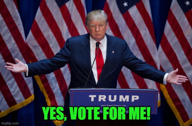 Donald Trump | YES, VOTE FOR ME! | image tagged in donald trump | made w/ Imgflip meme maker
