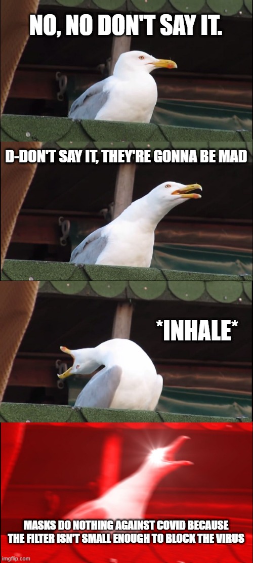Inhaling Seagull | NO, NO DON'T SAY IT. D-DON'T SAY IT, THEY'RE GONNA BE MAD; *INHALE*; MASKS DO NOTHING AGAINST COVID BECAUSE THE FILTER ISN'T SMALL ENOUGH TO BLOCK THE VIRUS | image tagged in memes,inhaling seagull | made w/ Imgflip meme maker