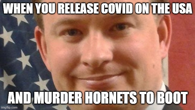 Deadly Businessman | WHEN YOU RELEASE COVID ON THE USA; AND MURDER HORNETS TO BOOT | image tagged in deadly businessman | made w/ Imgflip meme maker