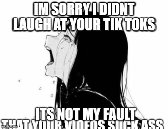 im sorry | IM SORRY I DIDNT LAUGH AT YOUR TIK TOKS | image tagged in tik tok | made w/ Imgflip meme maker