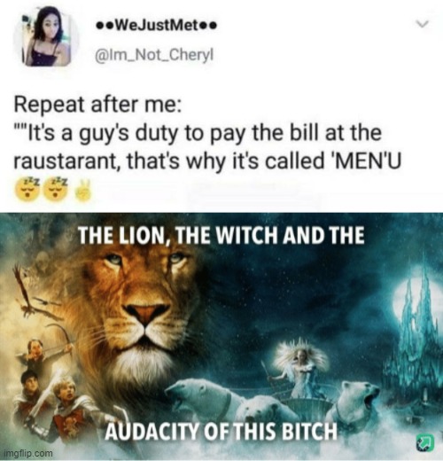 Nice Girls!!! | image tagged in the lion the witch and the audacity of this bitch | made w/ Imgflip meme maker