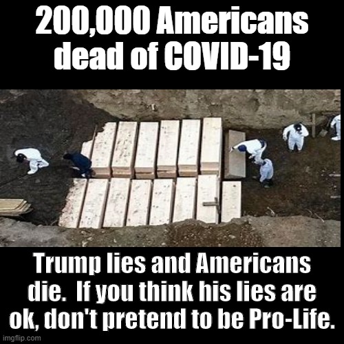 200,000 Americans dead of Covid-19 | 200,000 Americans dead of COVID-19; Trump lies and Americans die.  If you think his lies are ok, don't pretend to be Pro-Life. | image tagged in black box | made w/ Imgflip meme maker