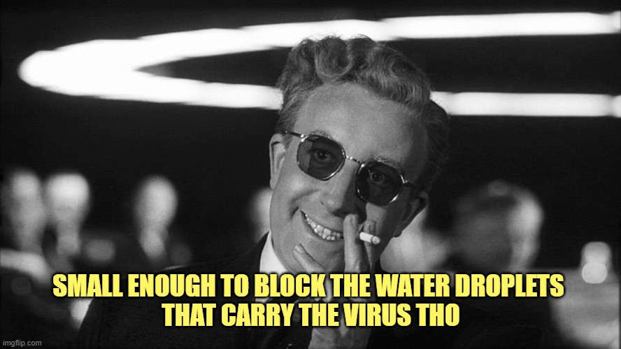 Doctor Strangelove says... | SMALL ENOUGH TO BLOCK THE WATER DROPLETS 
THAT CARRY THE VIRUS THO | image tagged in doctor strangelove says | made w/ Imgflip meme maker